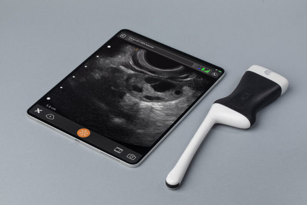 Clarius EC7-iPad-Follicle Count