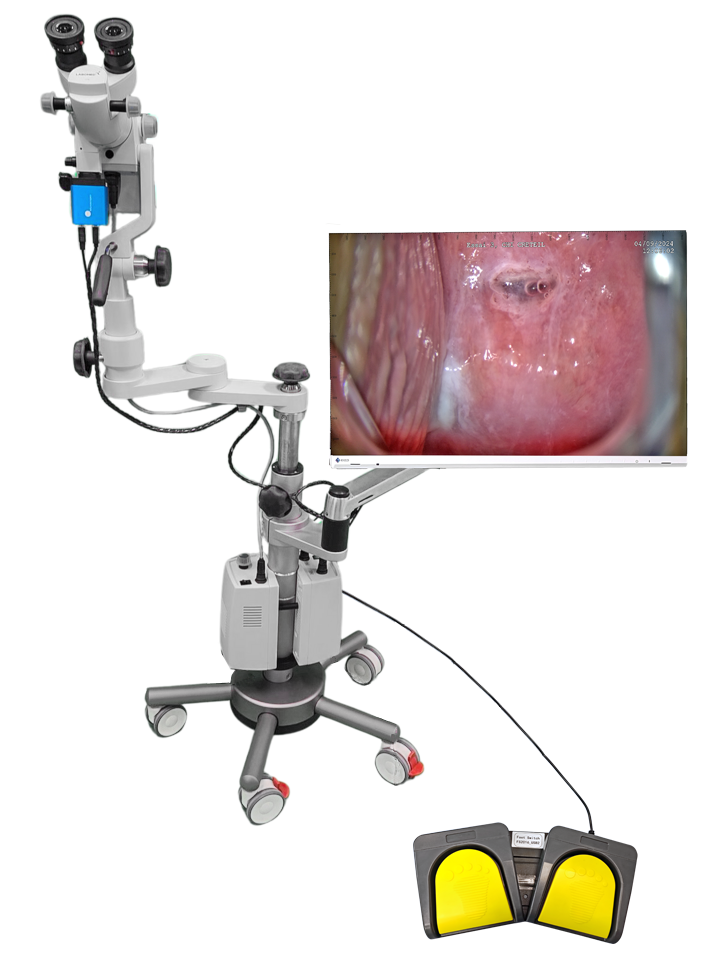 Labomed Prima C Plus 4K